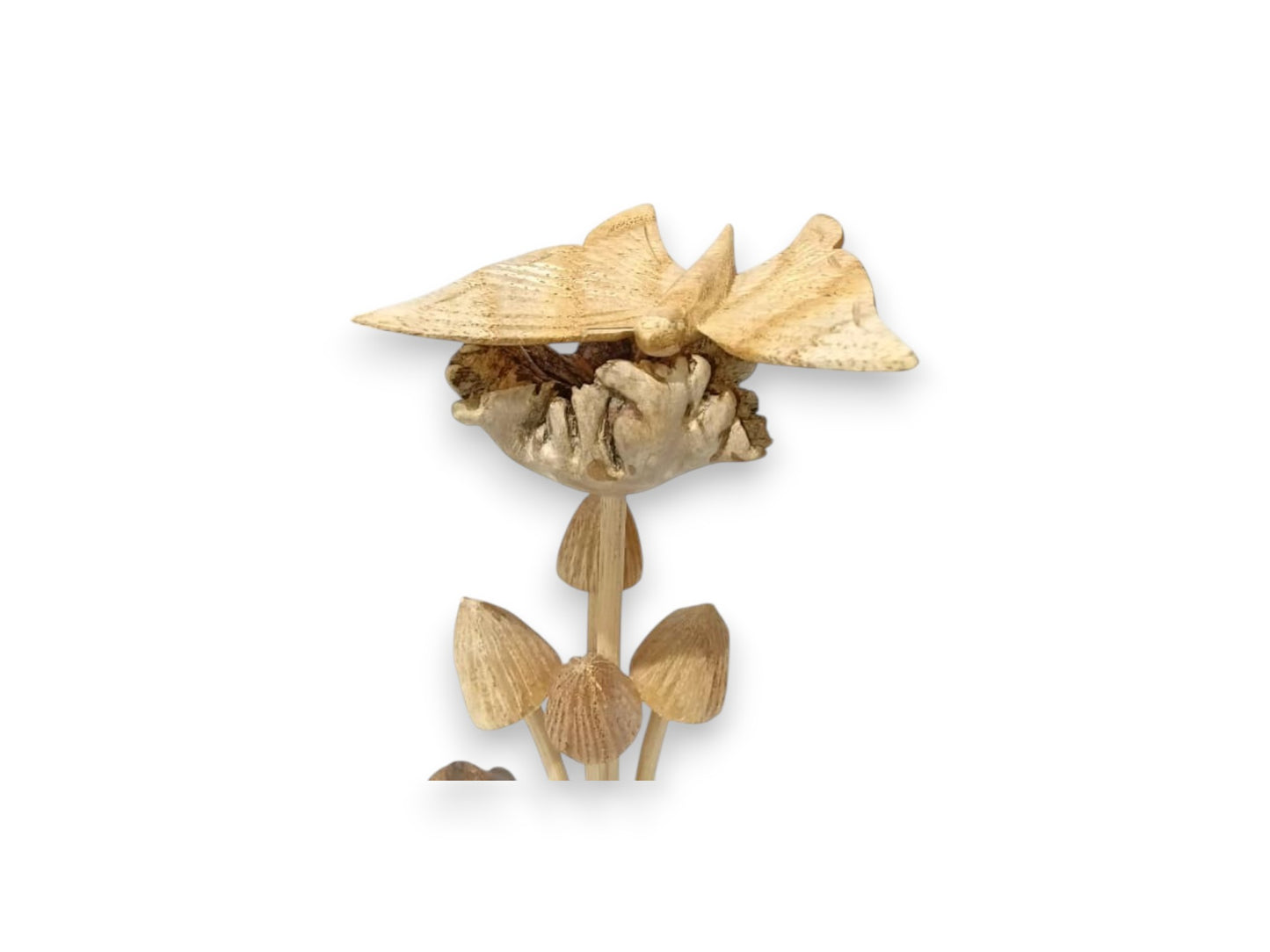 Hand Carved Wooden Butterfly with Wildflower and Four Mushrooms on Natural Rootwood Sculpture