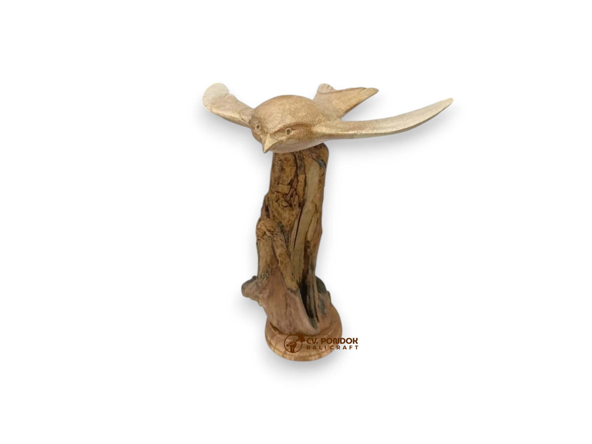 Hand-carved wooden swiftlet bird in flight on rootwood, minimum 17 cm tall with 15 cm wingspan