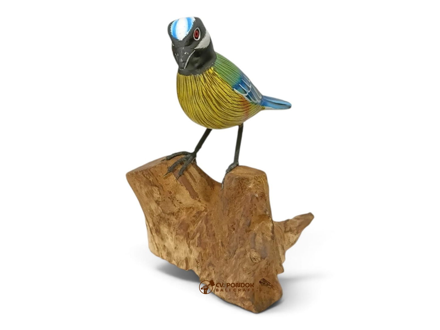 Hand-painted blue tit wooden bird with blue wings and a yellow-green breast standing on natural rootwood