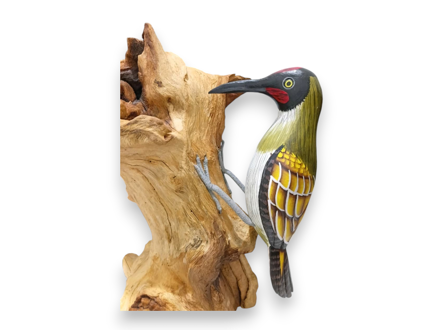 Hand Painted Green Wooden Woodpecker on Natural Rootwood Sculpture